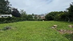 2148434.jpg