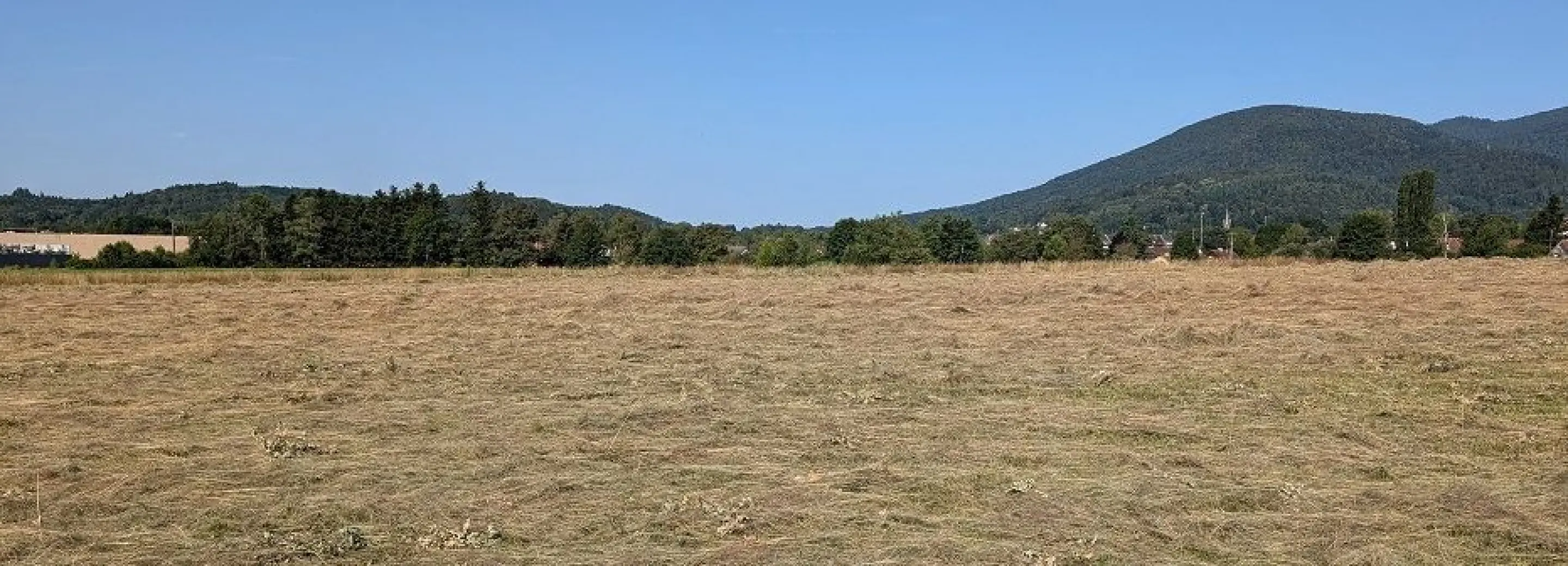 2012970.jpg