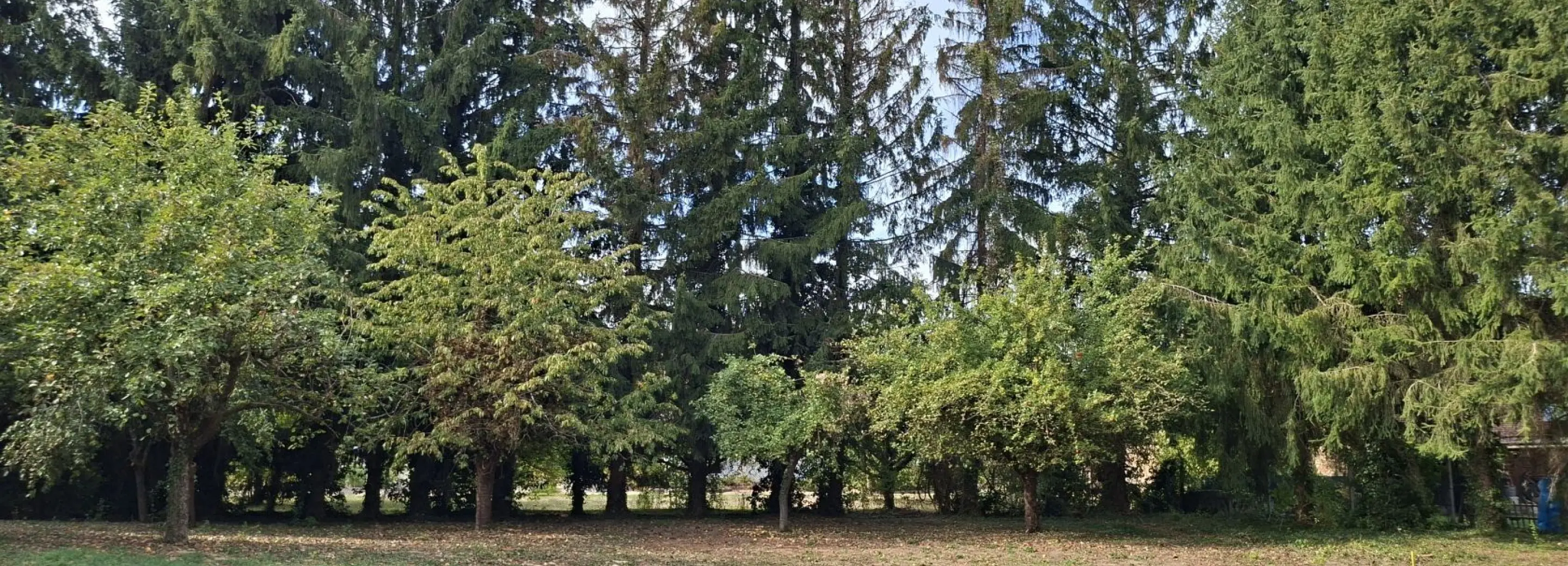 2169290.jpg