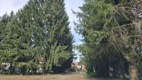 2169291.jpg